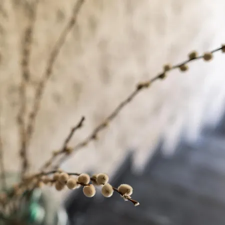 Bramasole Szálloda Alacati